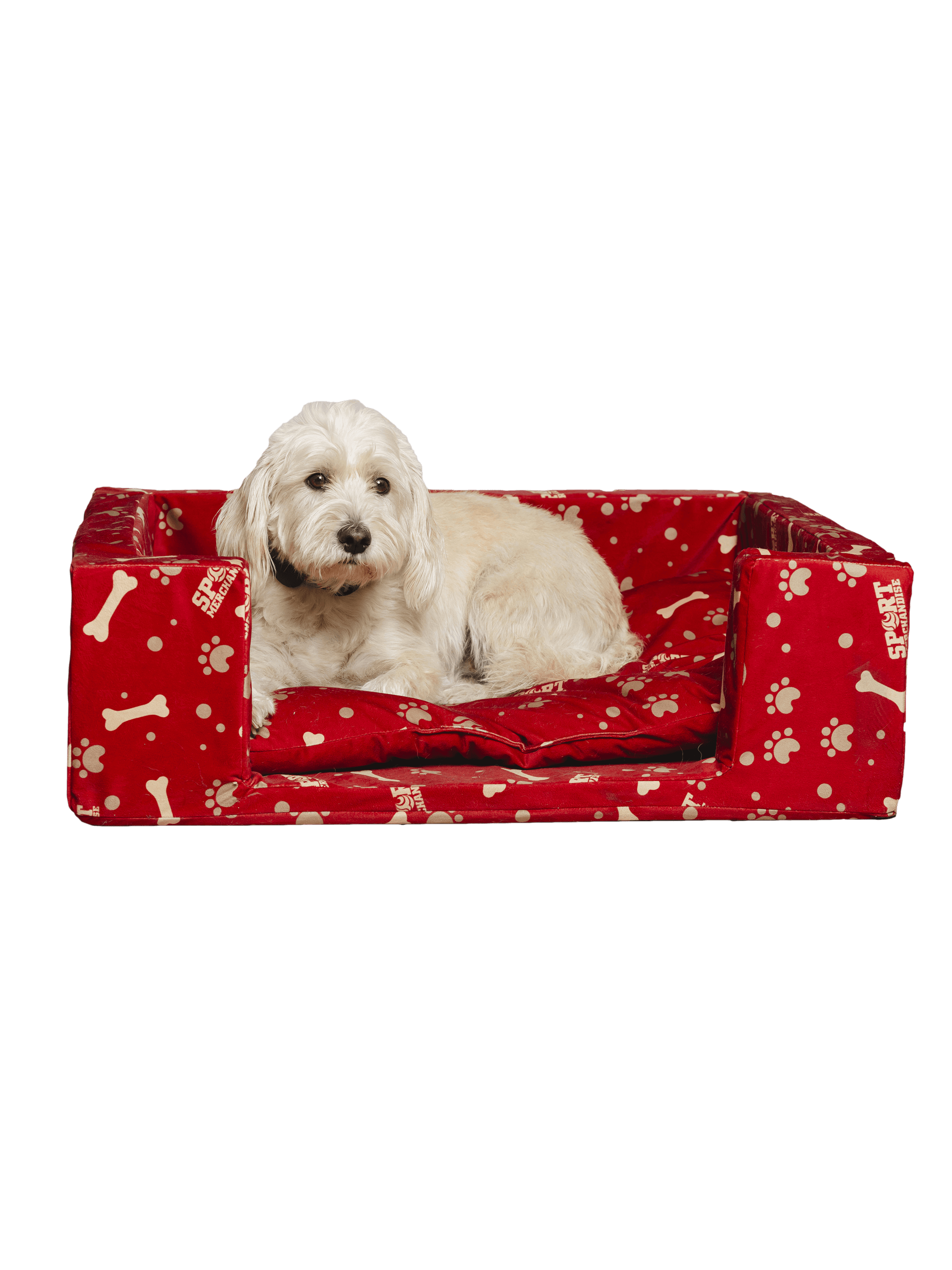 Varga Márton profilképe